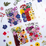 ネイル 押し花 ドライフラワー ハンドメイド 押花 ネイルアート ナチュラル ネイル 花材 ネイルパーツ 植物