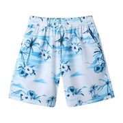 サーフパンツ 水着 海パン 海水パンツ ボードショーツ メンズ 速乾 ビーチウェア 短パン 男性用