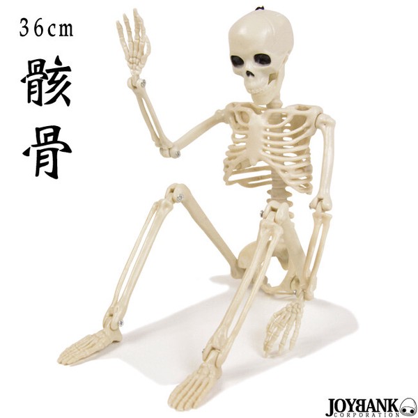 骸骨 フィギュア（36cm） 【おもちゃ/ガイコツ/どくろ