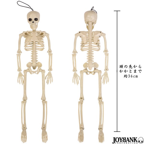 ガイコツ　フィギアセット 骸骨 フィギュア（36cm） 【おもちゃ/ガイコツ/どくろ