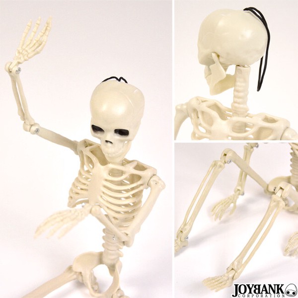 骸骨 フィギュア（36cm） 【おもちゃ/ガイコツ/どくろ