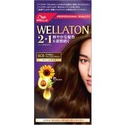 ウエラトーンツープラスワン　クリームタイプ　６ＣＢ 【 ヘアカラー・白髪用 】
