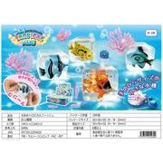 水あめトロピカルフィッシュ