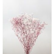 s 大地農園  プリザーブドフラワー  ミニカスミ草・フラワーベール