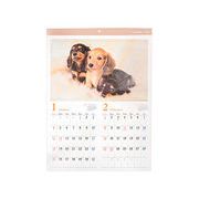 カレンダー 2026 壁掛け A2 イヌ写真