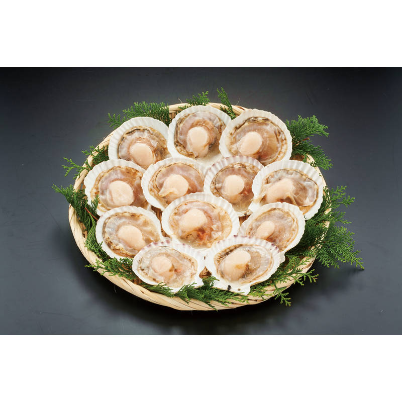 北海道産ほたて貝12枚 L12【直送品】送料無料