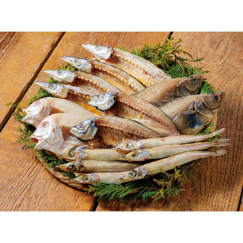 山陰海鮮一夜干しセット 6366-50【直送品】送料無料