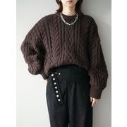 2025年INS 秋冬新作    気質   おしゃれ    高級感    ニット  セーター