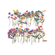 ネイル レジン 押し花 ドライフラワー ハンドメイド 花びら 高品質 押花 ネイルアート 封入 ナチュラル