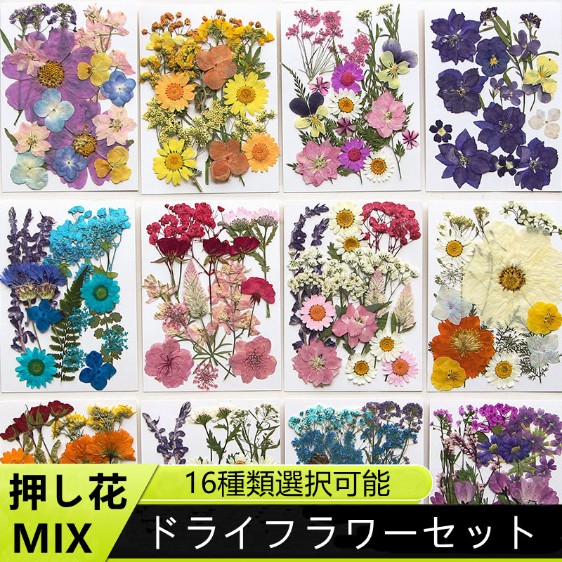 押し花 セット イエロー ドライフラワー ネイル レジン ミックス 花 はな ブリザード フラワー 封入 パーツ