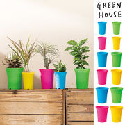 ■GREEN HOUSE(グリーンハウス）■■2026SS　新作■　ネオンカラープラポット