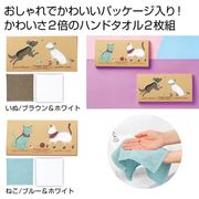 泉州はんどたおる２枚組