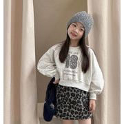 2026春新作 韓国風子供服 キッズ服 ベビー服 女の子 パーカー トレーナー 90~150CM