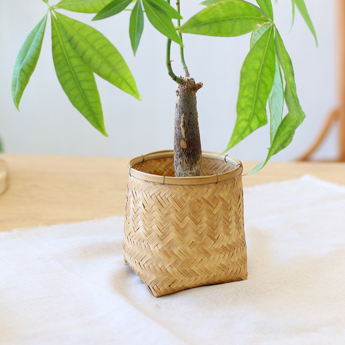 バンブー プラントホルダー M[かごカゴ天然素材竹植物カバー小物入れアジアナチュラルハワイ26SS]