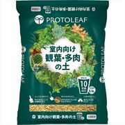 室内向け観葉・多肉の土１０号鉢用