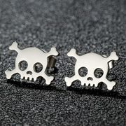 ピアス レディース ステンレス製 SUS316Lピアス アクセサリー  金属アレルギー対応「数量限定」2026年4月