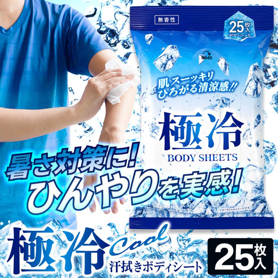 ボディシート/極冷/メントール配合/汗拭きシート/厚手/25枚入り/無香性/熱中策/極冷ボディシート