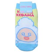 【靴下】こびとづかん キッズソックス カクレケダマ BL/IV