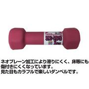 ネオプレーンダンベル 1kg