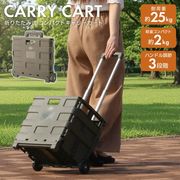キャリーカート/折りたたみ/軽量コンパクト/持ち手付き台車/お買い物/耐荷重25kg/コンテナカートF