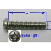 FJK 鍋頭＋ステンレス小ねじセット6(D)×100(L)mm(2セット入)