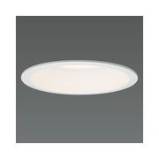 LEDダウンライト 取付穴φ125mm FHT16W相当 昼白色相当