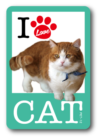 PET-12/I LOVE CAT!ステッカー12 猫好きの方に！ 猫 ねこ ネコ CAT 猫ステッカー PET 愛猫 ペット