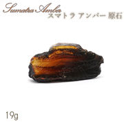スマトラアンバー 原石 インドネシア産 【 一点もの 】amber アンバー スマトラ産 琥珀 植物の化石