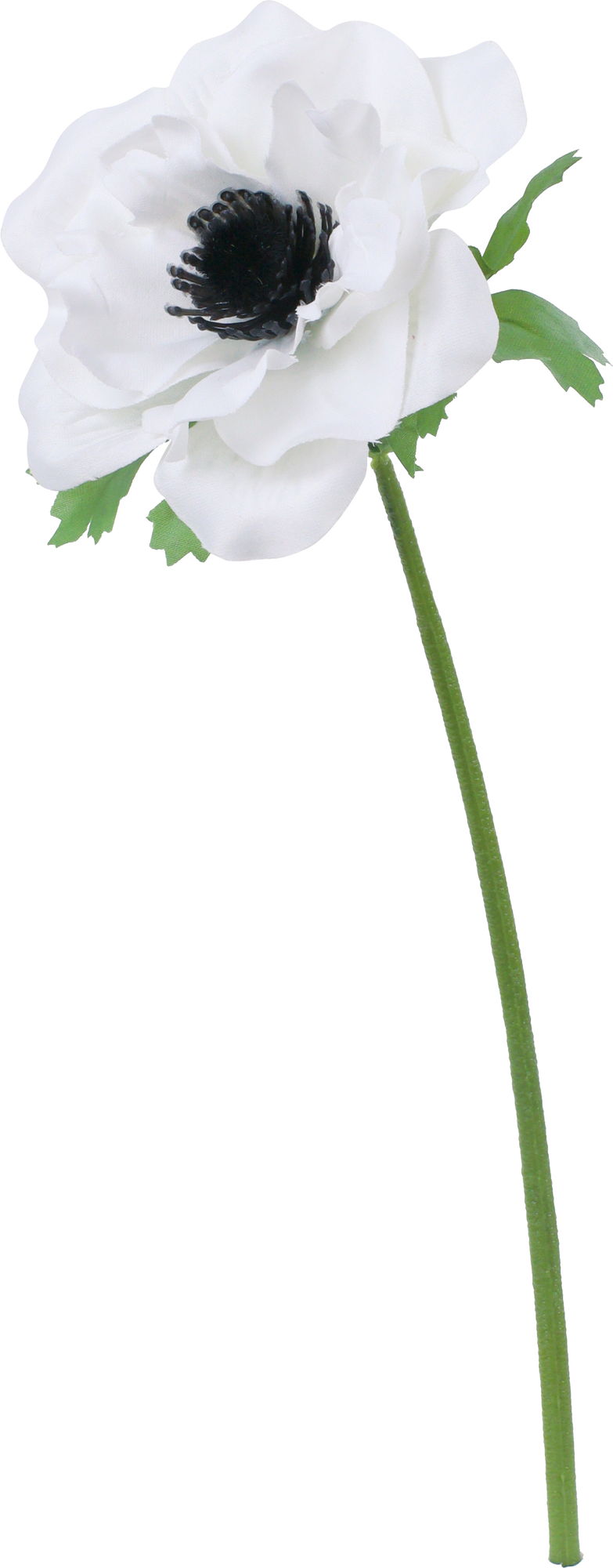 【造花】フリルアネモネ　ホワイト　ＦＦＨ－００５１Ｗ