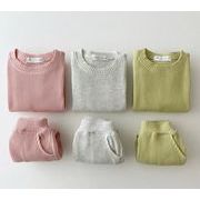 韓国風子供服 シャツ＋パンツ セットアップ ファッション 無地 男女兼用 3色展開 73#-100#