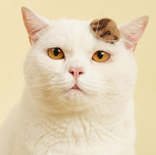 アトリエgg♡キャミワンピ 19ハーフ なでしこ（キャミソール