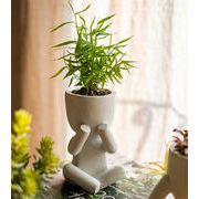 植木鉢 多肉植物 可愛い トレンド ヤングスタイル 装飾 シンプル デザインセンス