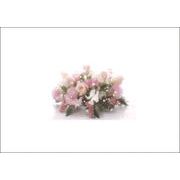 ポストカード カラー写真「ピンクと白のバラ」メッセージカード 郵便はがき