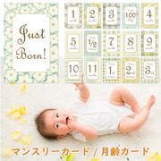 インスタ用ベビーマンスリーカード「GREEN PATTERNS」月齢カード 赤ちゃん 誕生日出産祝い