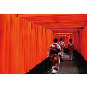 ポストカード カラー写真 日本風景シリーズ「伏見稲荷」観光地 料理 メッセージカード