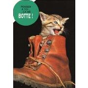 ポストカード カラー写真 ダイカットタイプ 定形外 ブーツに入った子猫