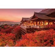 ポストカード カラー写真 日本風景シリーズ「京都 清水寺」観光地 名所 メッセージカード