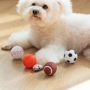 【2022春夏新作大人気】　ペットの玩具　犬服　猫服　可愛い　犬の玩具　噛む練習　可愛い