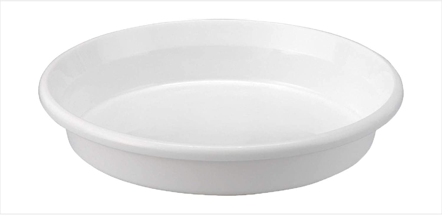 鉢皿F型 8号 ホワイト アップルウェアー