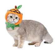 激安 秋冬 ペット用帽子 犬用猫用 仮装帽子 大中小型犬/猫 ハロウィン Halloween ボア カボチャ ナンキン