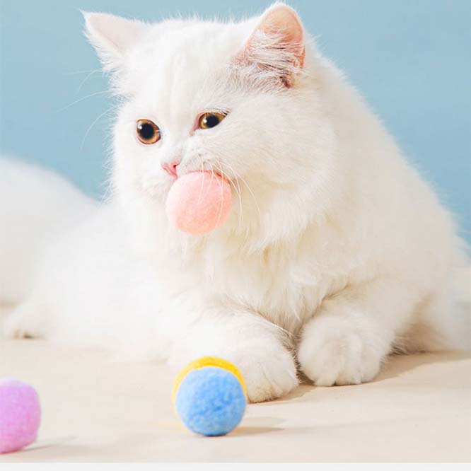 【秋冬新作大人気】　ペット用品　ペット用品　 知育玩具　猫の玩具　ボール　噛む練習　可愛い