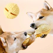 【秋冬新作大人気】　ペット用品　知育玩具　犬の玩具　ボール　噛む練習　可愛い