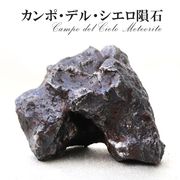 【隕石】カンポ・デル・シエロ隕石　約664g　オクタヘドライト　アルゼンチン産　一点物