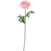 【造花】シングルラナンキュラス　ピンク　ＦＦ－３０５６Ｐ