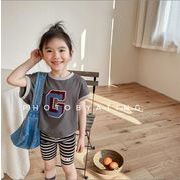 夏人気新作  韓国風子供服 ベビー服 Tシャツ  カジュアル  半袖  刺繍  トップス    2色
