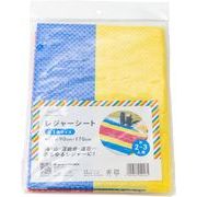 アサヒ興洋 レジャーシート 4～5人用 2畳サイズ（170×180cm）