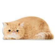 【ご紹介します！！リアルな猫たちが転写された陶器シリーズです！】リアルキャット箸置き  エキゾチック