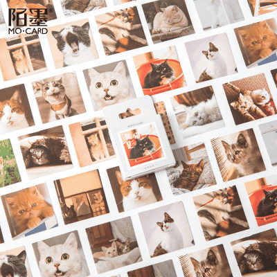 春夏 シール ステッカー カフェ風 幾何学ラベル イラスト 写真撮影 可愛いキャット猫 46枚入