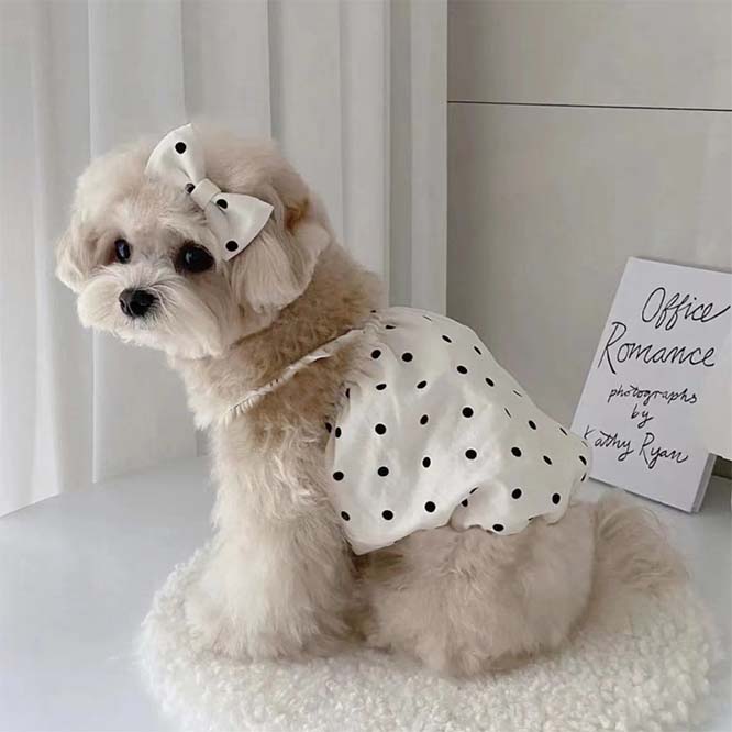 大売出し☆2023夏】 犬服 ペット 服 ドッグウェア 犬猫兼用 ワンちゃん用 ペット用品 ネコ雑貨 SNIFF JAPAN ペット雑貨  問屋・仕入れ・卸・卸売の専門【仕入れならNETSEA】