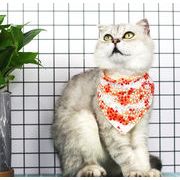 【夏新作】 ins映え 小型犬 超可愛い ペット用品 ネコ雑貨 猫雑貨 犬 よだれかけ 猫 軽量 小型 ネクタイ